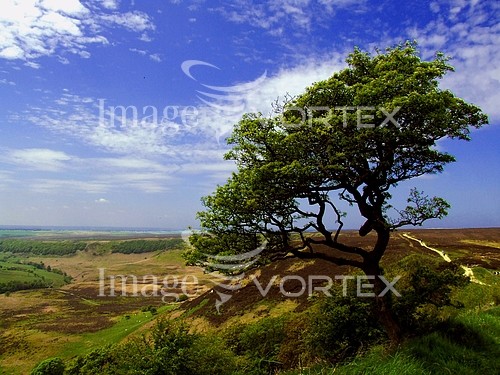 Nature / landscape royalty free stock image #401299587