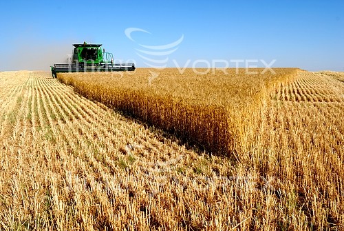 Industry / agriculture royalty free stock image #403492690