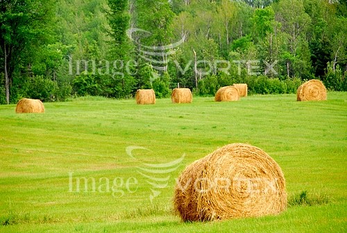 Industry / agriculture royalty free stock image #404101626