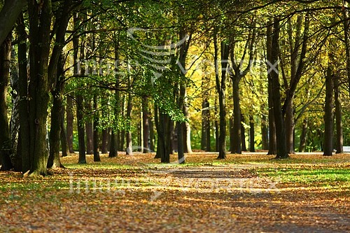 Park / outdoor royalty free stock image #407673846