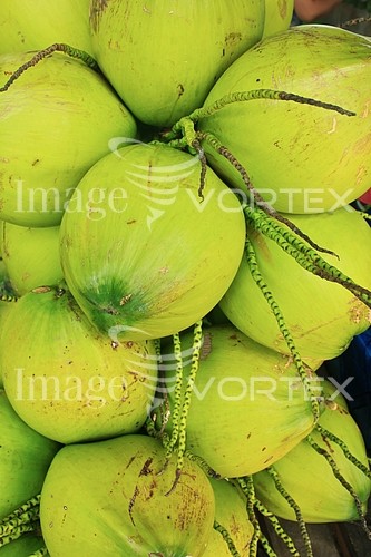 Food / drink royalty free stock image #408879187