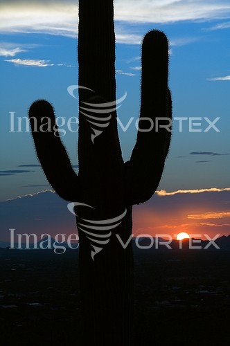Sunset / sunrise royalty free stock image #408504265
