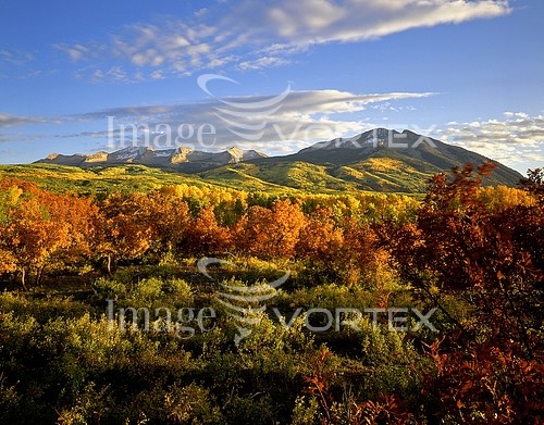 Nature / landscape royalty free stock image #409277044