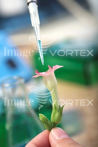 Science & technology royalty free stock image #410155260