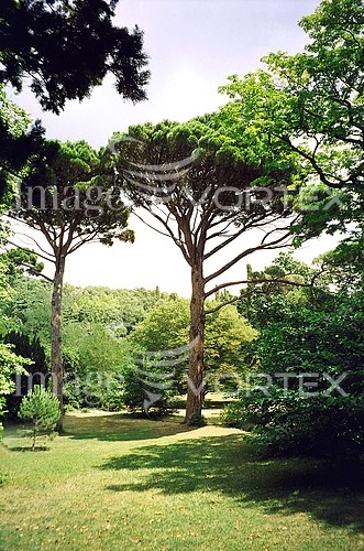 Nature / landscape royalty free stock image #410395101