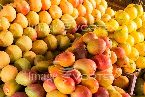 Food / drink royalty free stock image #411448576