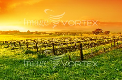 Sunset / sunrise royalty free stock image #411111079