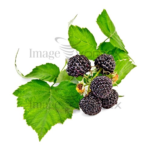 Food / drink royalty free stock image #414358399