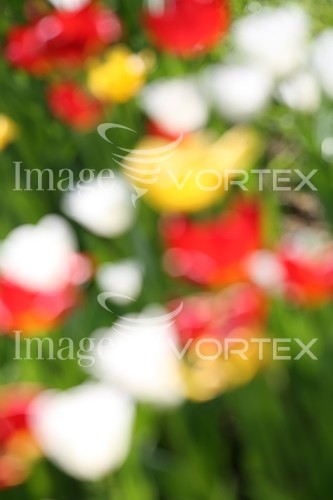 Background / texture royalty free stock image #416641364