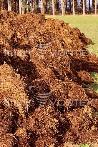 Industry / agriculture royalty free stock image #422549258
