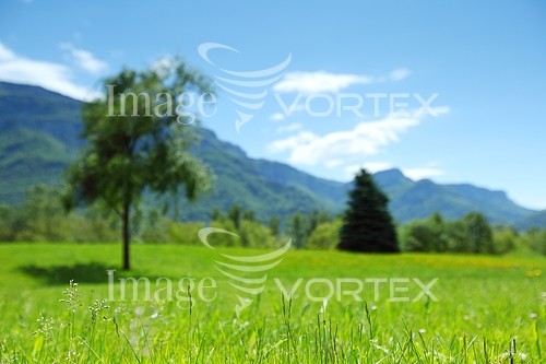 Nature / landscape royalty free stock image #424418452