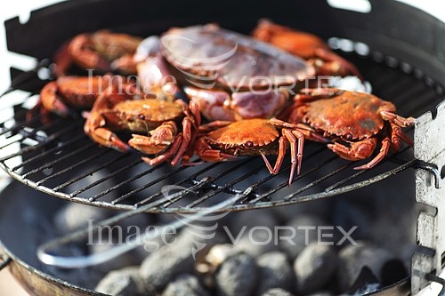 Food / drink royalty free stock image #424224642