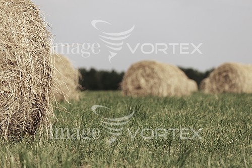 Industry / agriculture royalty free stock image #424774390