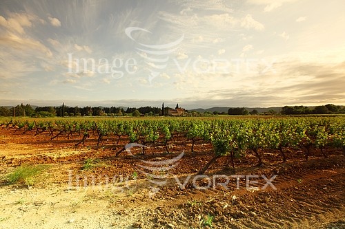 Industry / agriculture royalty free stock image #424263197