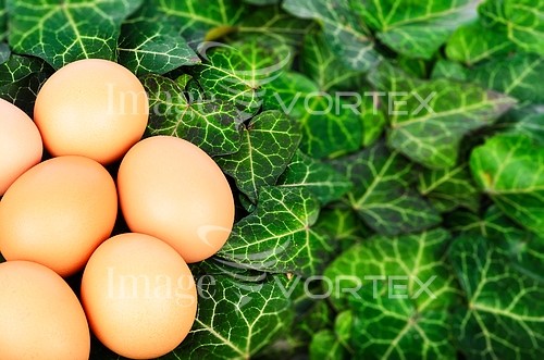 Food / drink royalty free stock image #426133583