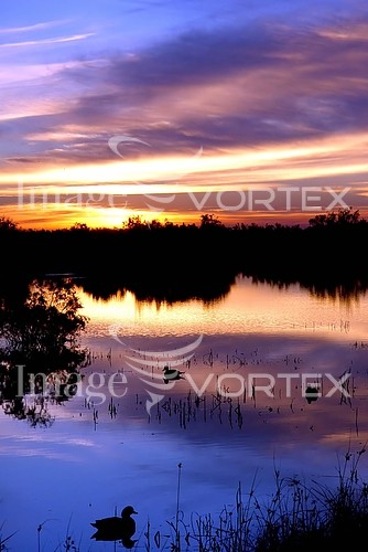 Sunset / sunrise royalty free stock image #427839709