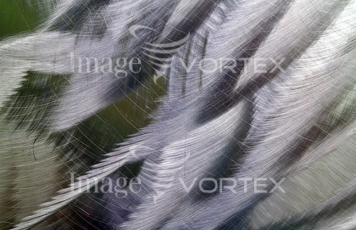 Background / texture royalty free stock image #429171026