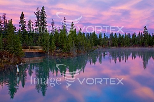 Nature / landscape royalty free stock image #429349361