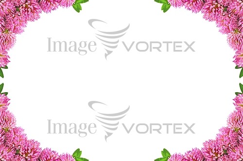 Background / texture royalty free stock image #430127270
