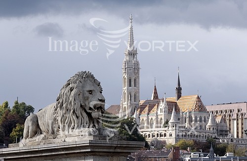 Architecture / building royalty free stock image #431297766