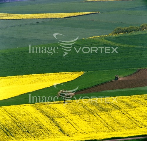 Industry / agriculture royalty free stock image #432859283