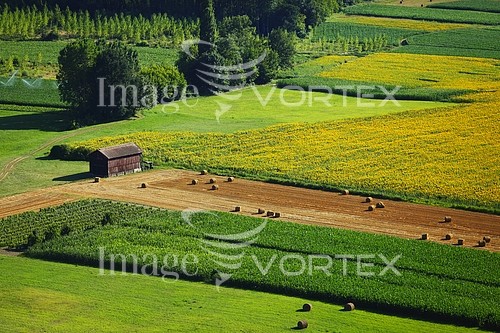 Industry / agriculture royalty free stock image #432828880