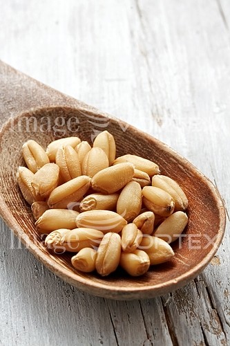 Food / drink royalty free stock image #432101408