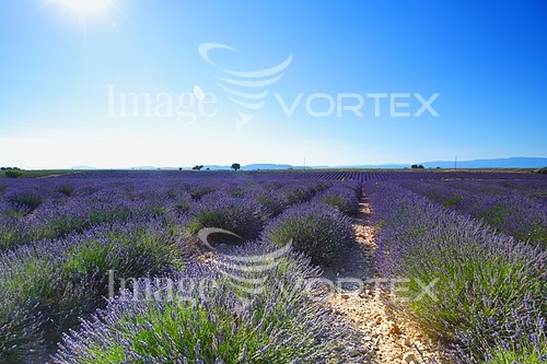 Industry / agriculture royalty free stock image #432723693