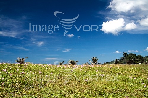 Nature / landscape royalty free stock image #433972335