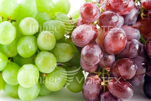 Food / drink royalty free stock image #434912940