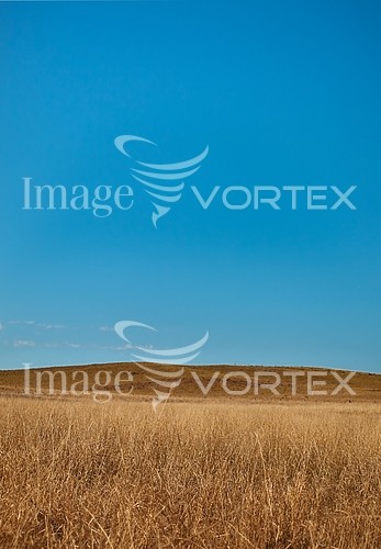 Nature / landscape royalty free stock image #434316304