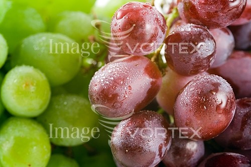 Food / drink royalty free stock image #435027693