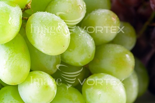 Food / drink royalty free stock image #435275449