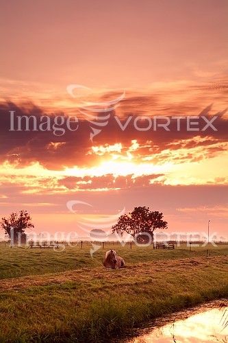 Sunset / sunrise royalty free stock image #435057154