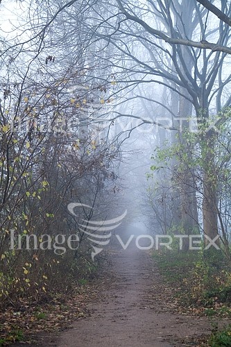 Park / outdoor royalty free stock image #435915960
