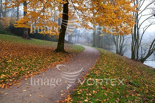 Park / outdoor royalty free stock image #435943041