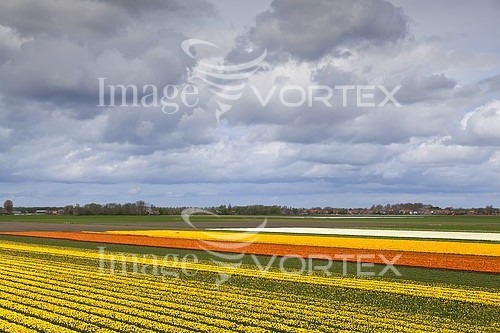 Industry / agriculture royalty free stock image #435063973