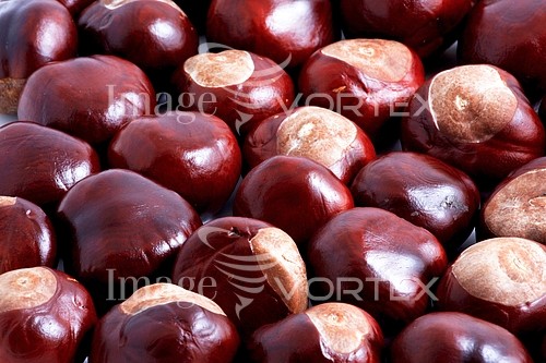 Food / drink royalty free stock image #438604376