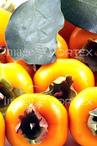 Food / drink royalty free stock image #440519144