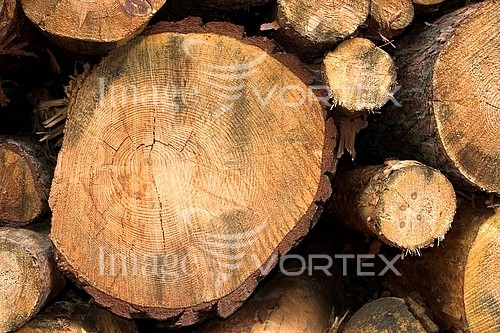 Industry / agriculture royalty free stock image #440841853