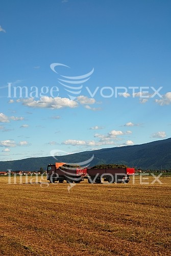 Industry / agriculture royalty free stock image #445305206