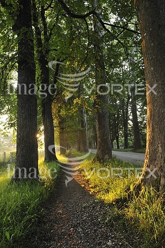 Park / outdoor royalty free stock image #447132851