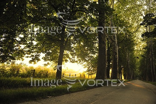 Park / outdoor royalty free stock image #447235594