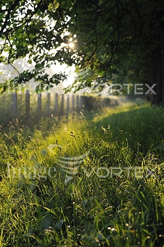 Park / outdoor royalty free stock image #447251813
