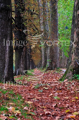 Park / outdoor royalty free stock image #449417212