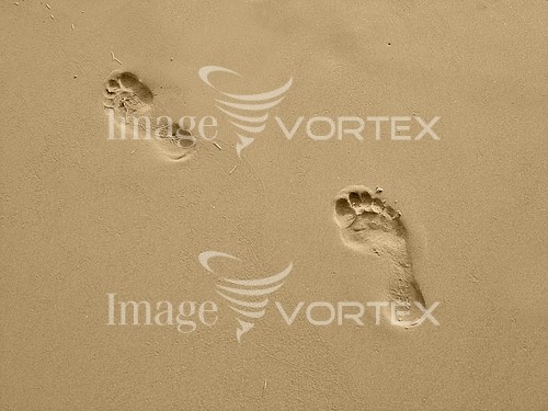 Background / texture royalty free stock image #450480352