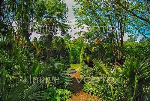 Park / outdoor royalty free stock image #450955090