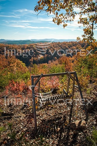 Park / outdoor royalty free stock image #452401241