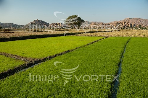 Industry / agriculture royalty free stock image #457270945