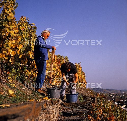 Industry / agriculture royalty free stock image #461088034